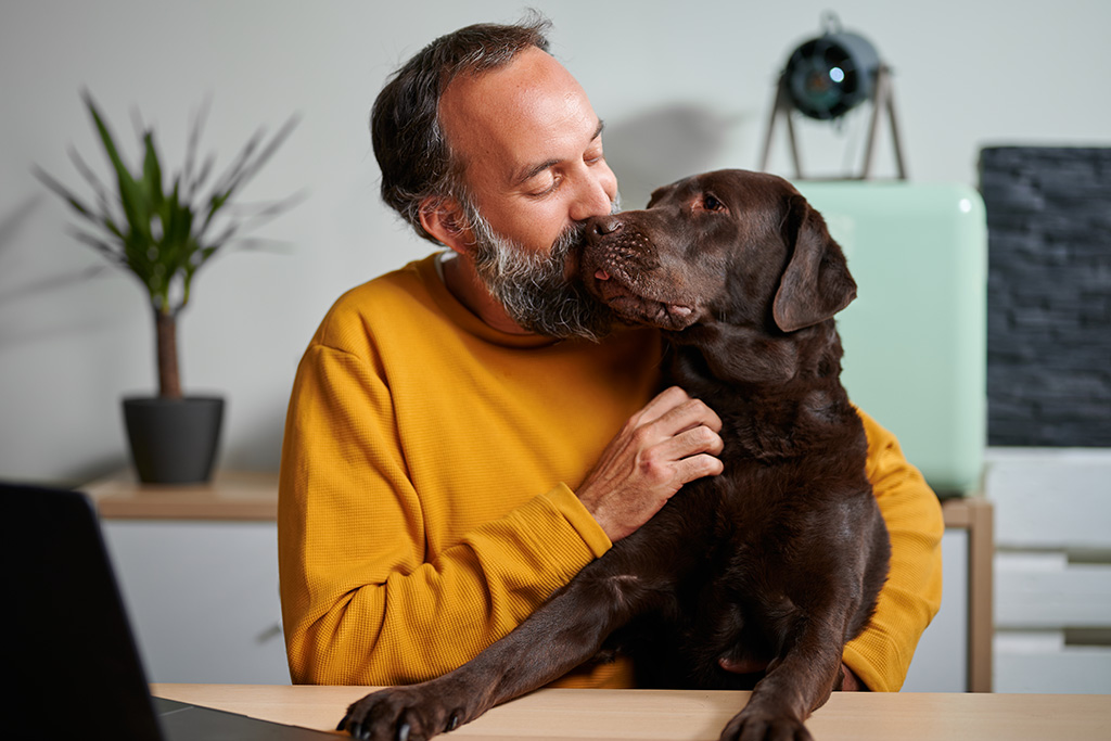 Man kissing Labrador dog on the face