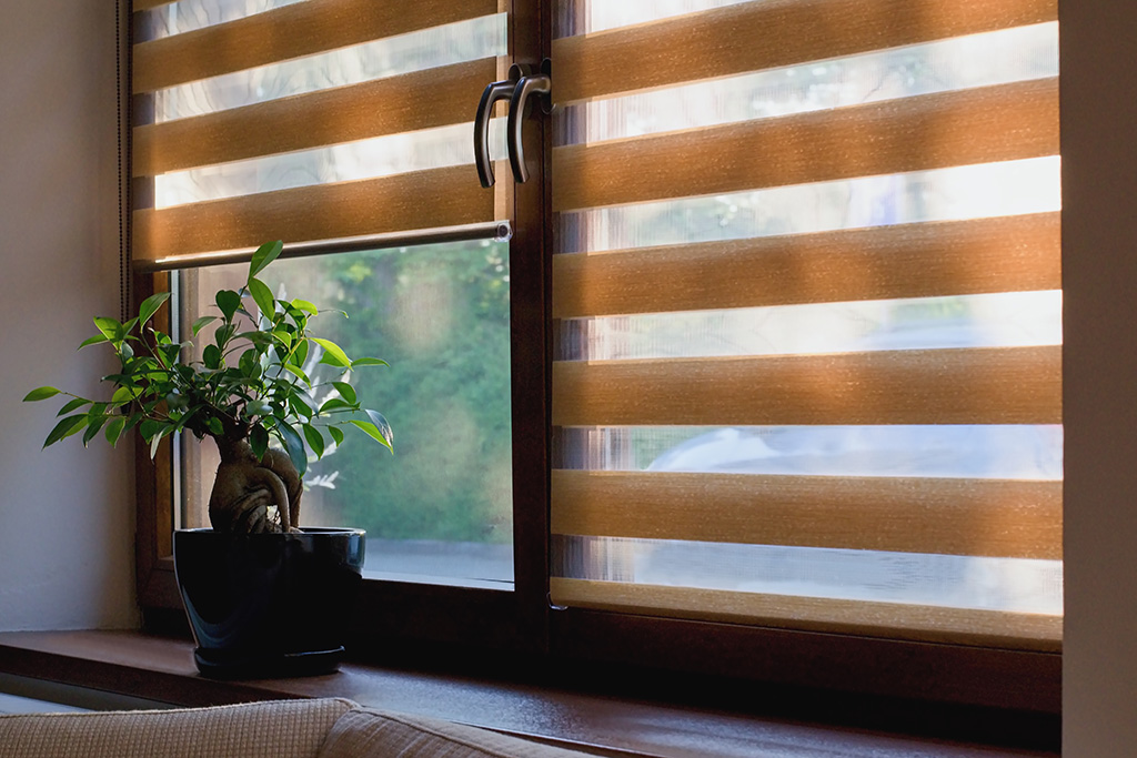 Plant in window with bamboo curtains