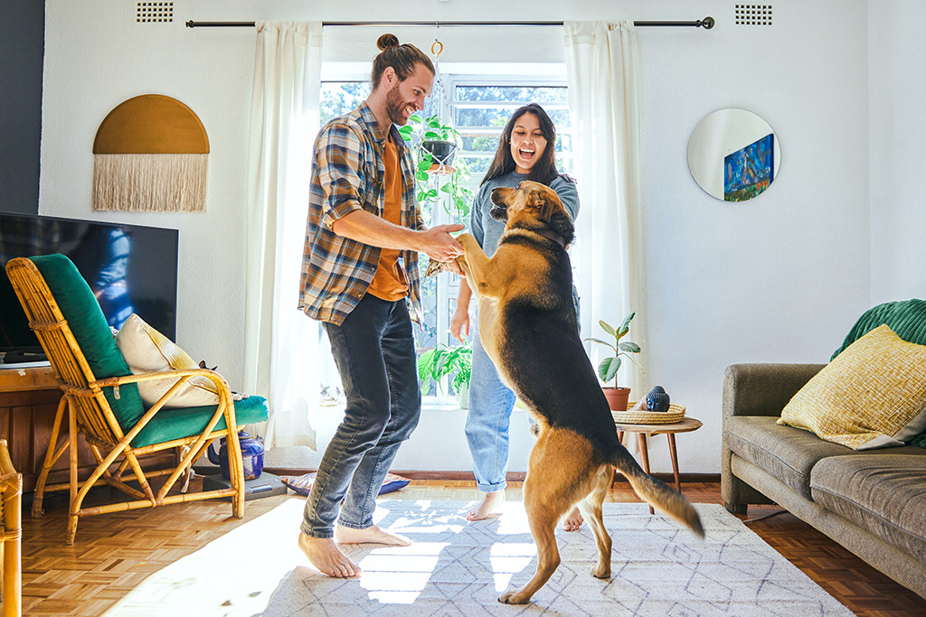 Man and woman dancing with their dog.