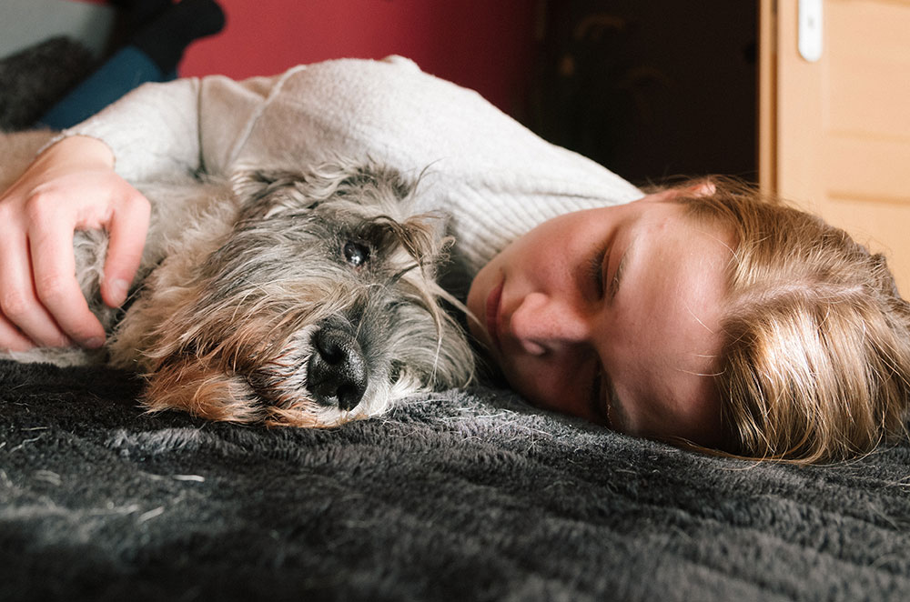 Boy and dog laying on a bed