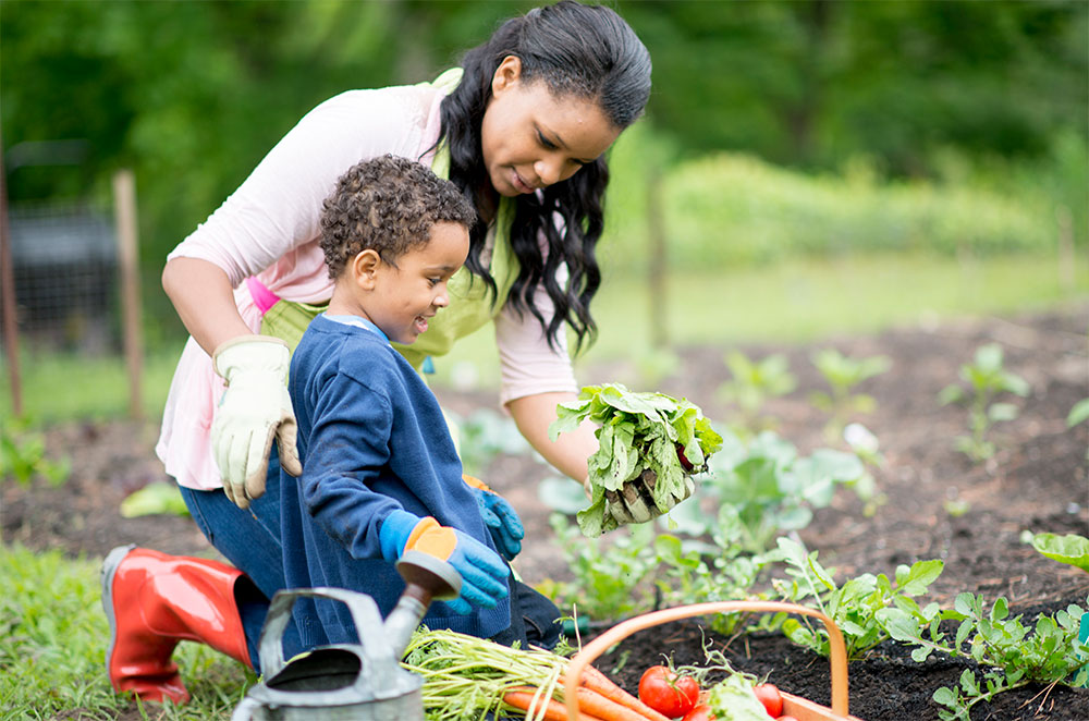 Mon and son gardening