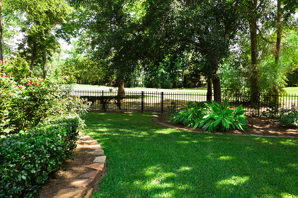 Backyard with shade from plants