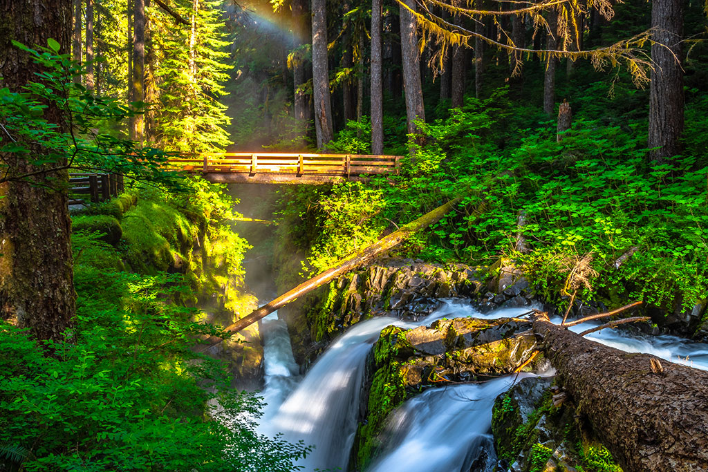 Olympic National Park