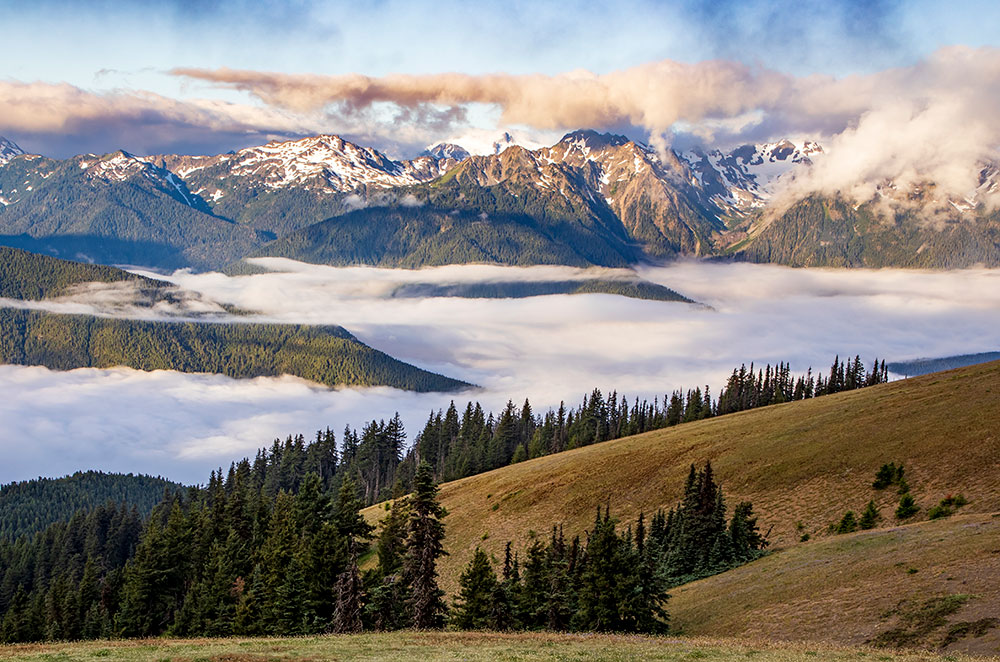 Olympic mountain range