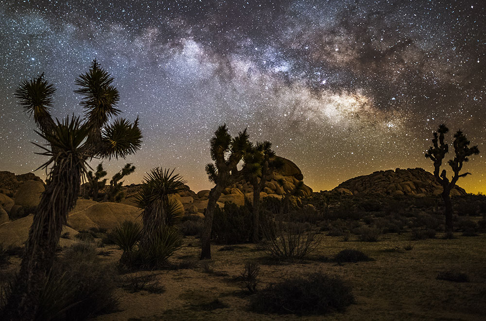 Joshua Tree National Park