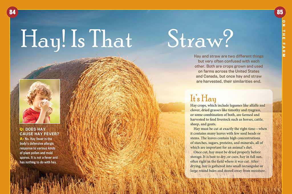 The Old Farmer’s Almanac