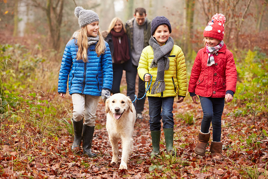 Family walking outside